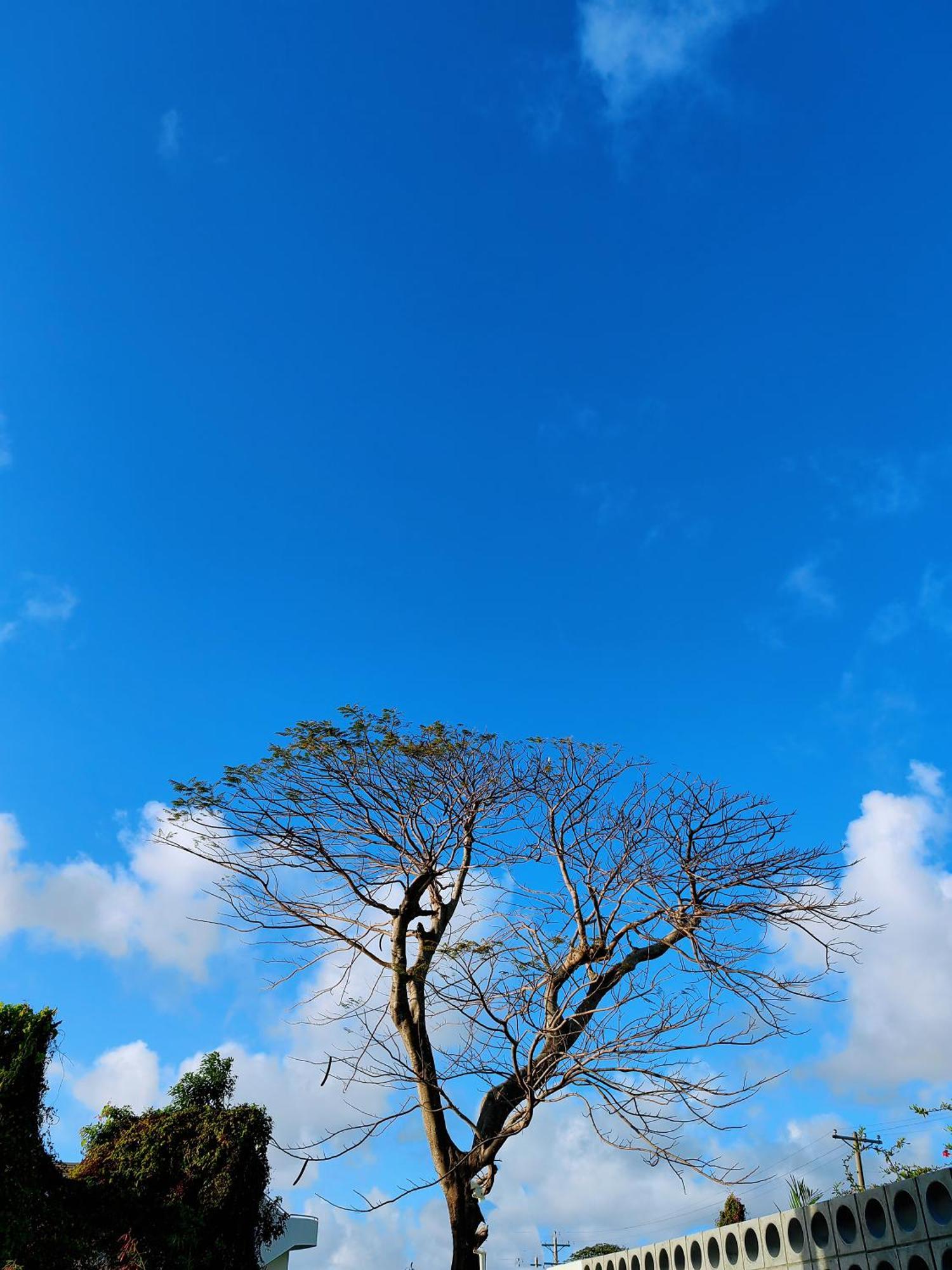Discovery Saipan Hotel Garapan Luaran gambar